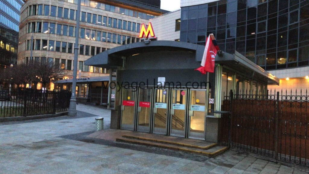 voyageLlama, moscow, russia,
