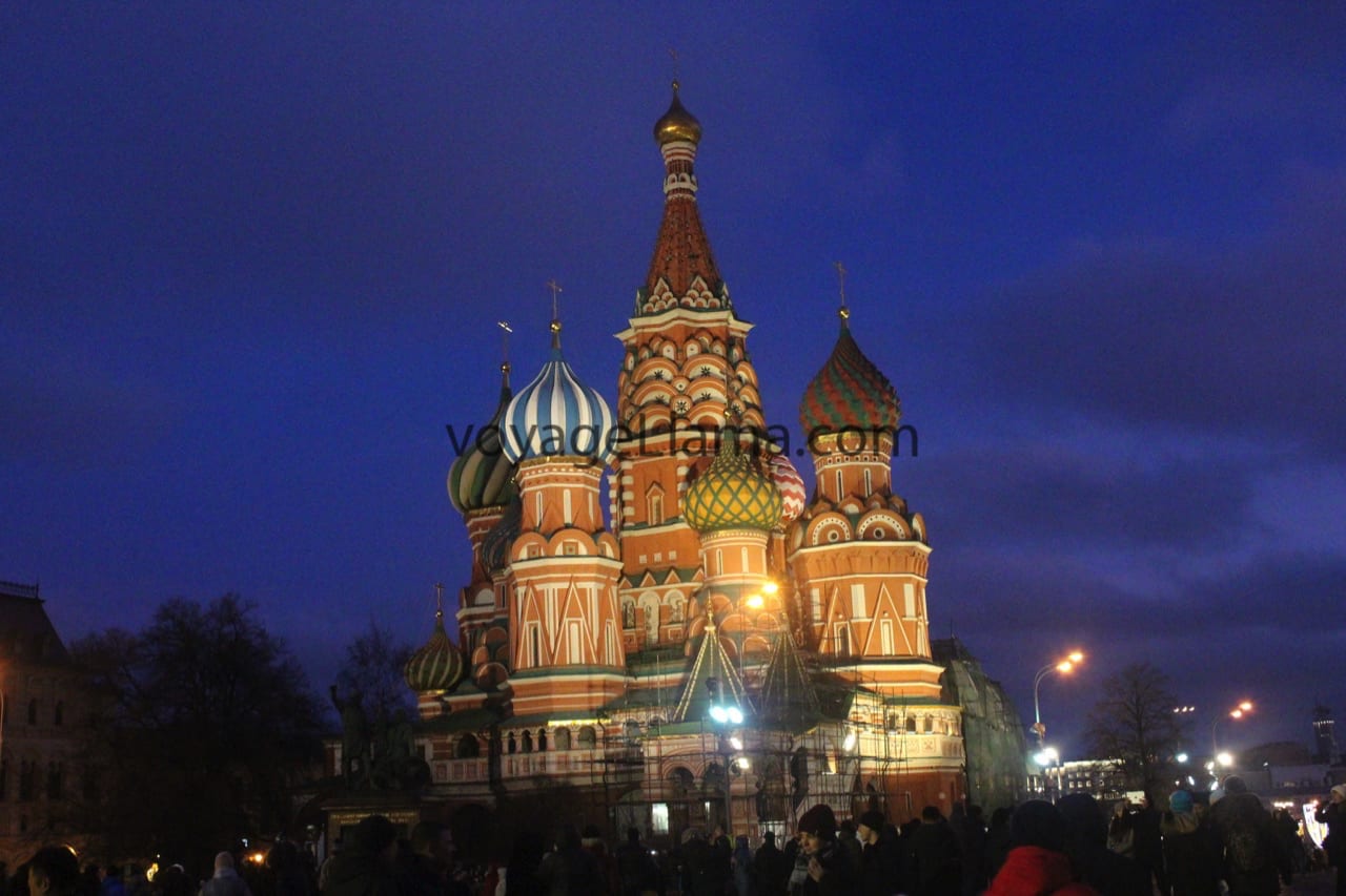 voyageLlama, moscow, russia,