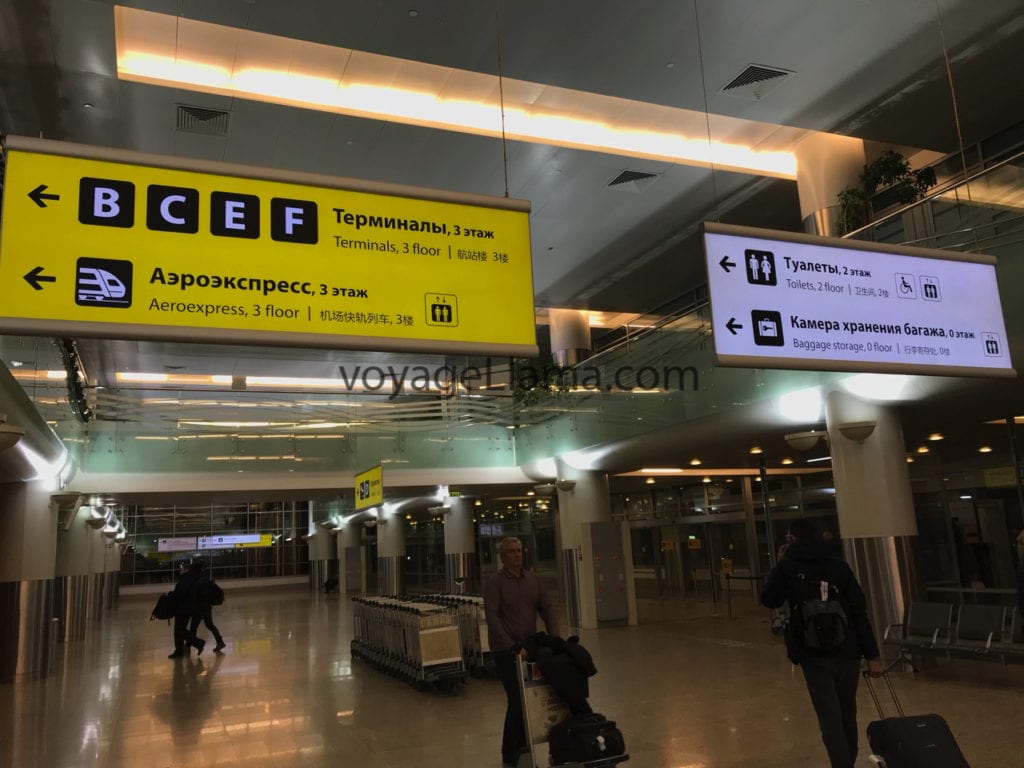 voyageLlama, moscow, russia,