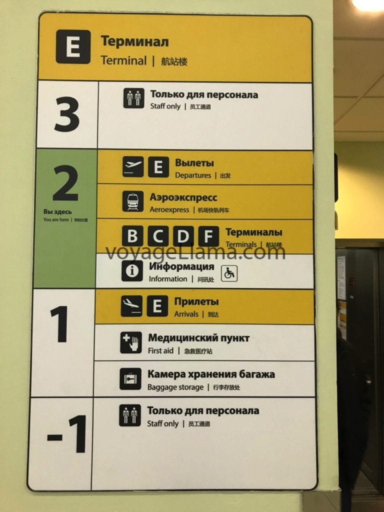 voyageLlama, moscow, russia,