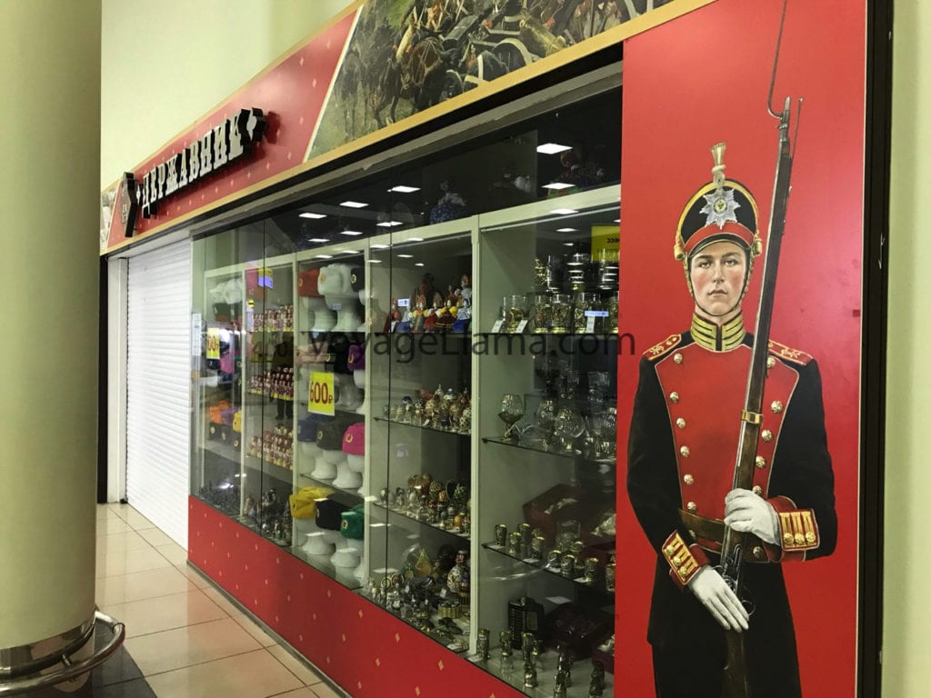 voyageLlama, moscow, russia,