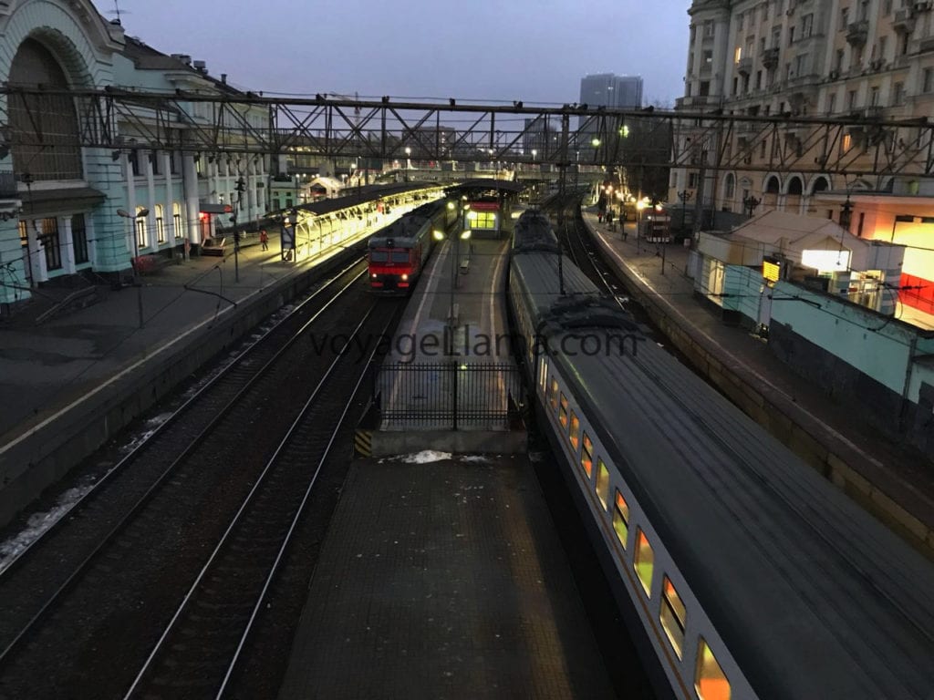 voyageLlama, moscow, russia,