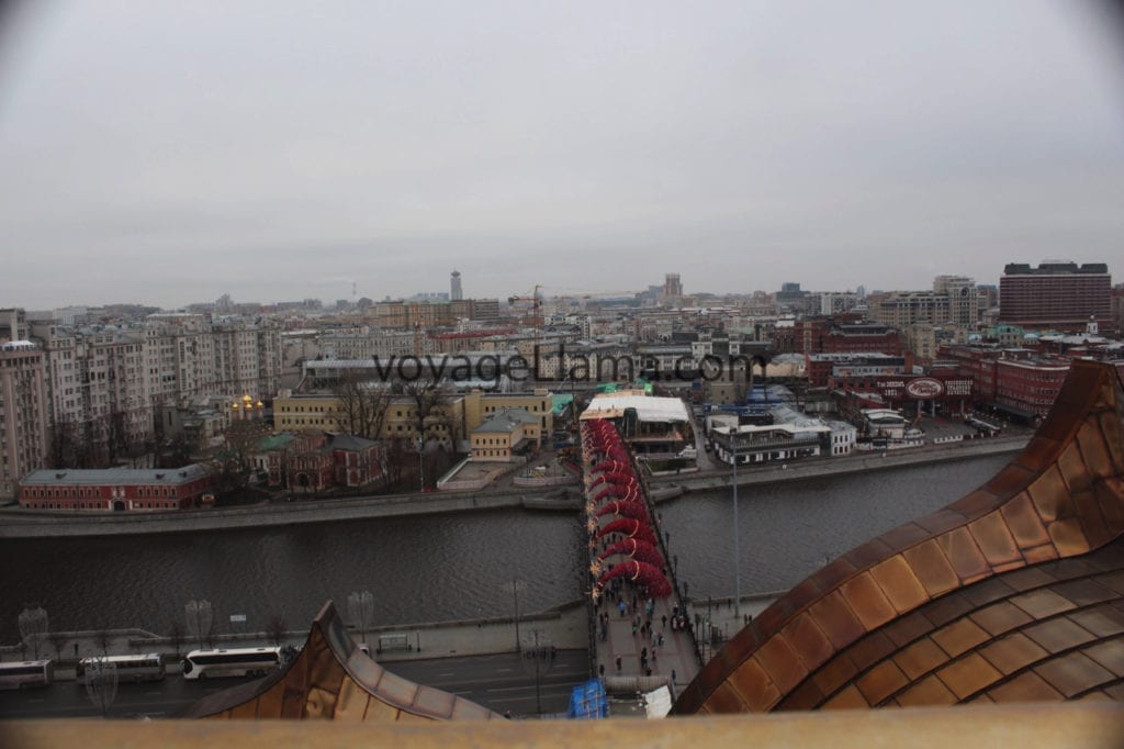 voyageLlama, moscow, russia,