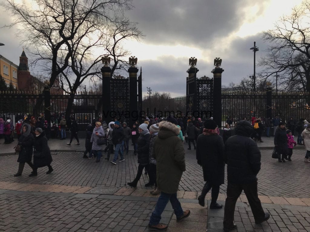 voyageLlama, moscow, russia,