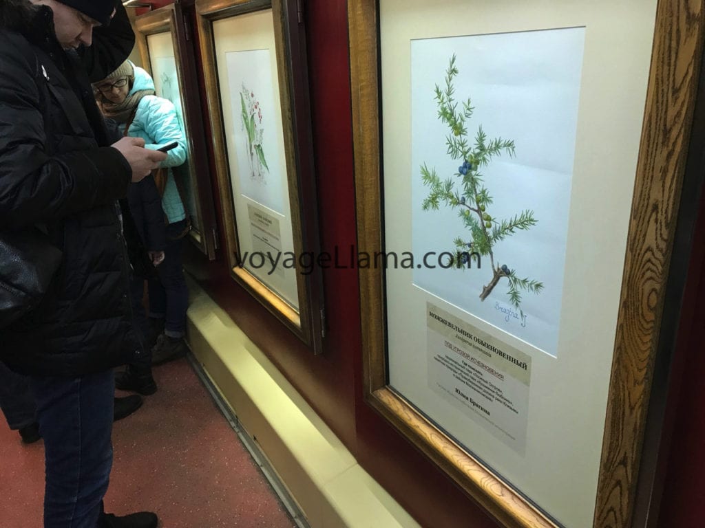 Moscow Russia Metro