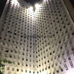 feminicide insecurity